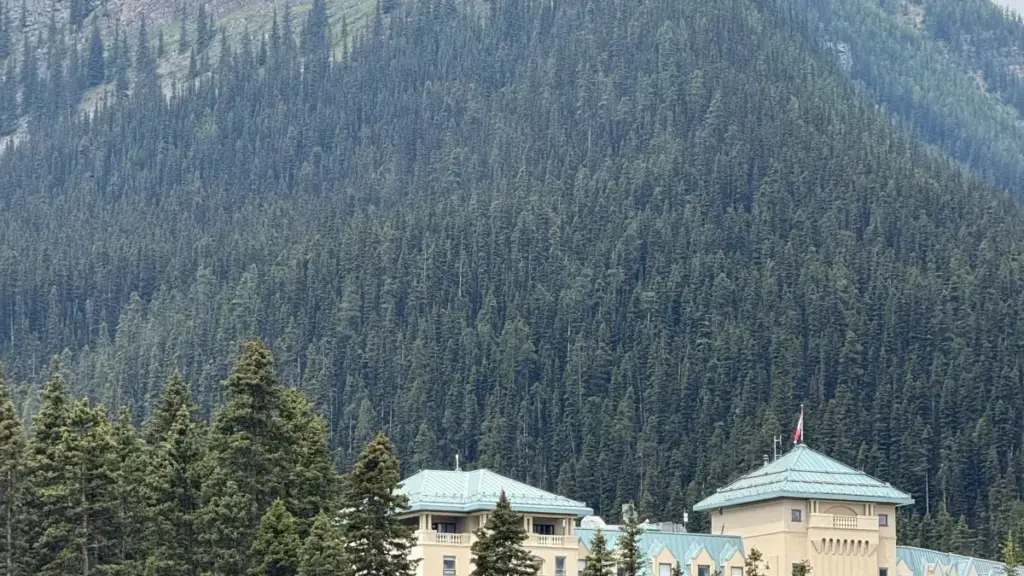 Matakai da dabaru na gaske don masu ƙirƙira a Najeriya su haɗu da brands a Cyprus ta Spotify don ƙirƙirar abun motsa jiki mai alama.