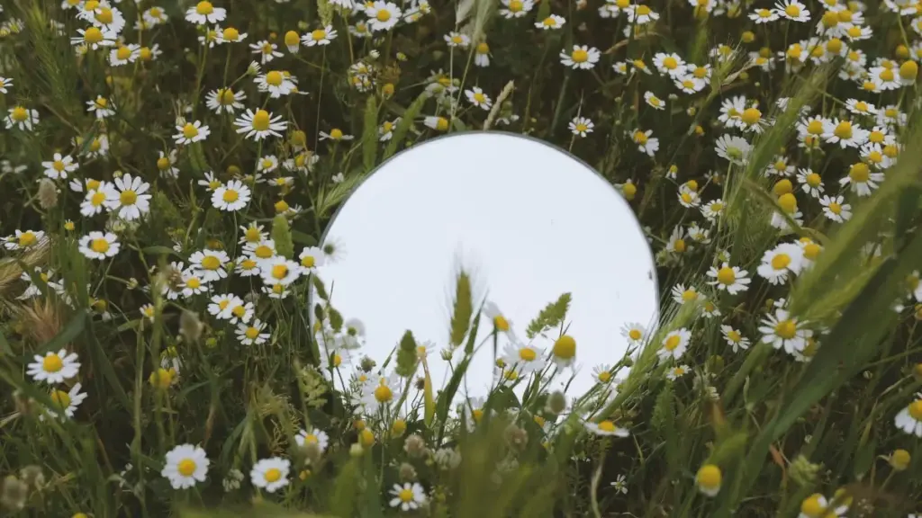 Jagora mai amfani ga masu ƙirƙira daga Najeriya: yadda za a gano, tuntuba, da yin testimonial videos ga Montenegro brands a Shopee — matakai, samfurin imel, da dabarun da ke aiki a 2026.