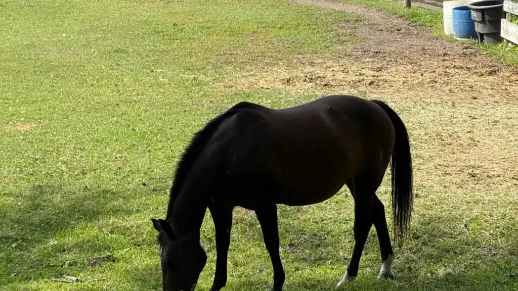 Jagora mai sauƙi ga creators daga Nigeria: yadda za ka kai ga brands na Tanzania a TikTok domin jawo signups zuwa online courses, da misalai na gaskiya, dabaru na local, da checklist na aiki.