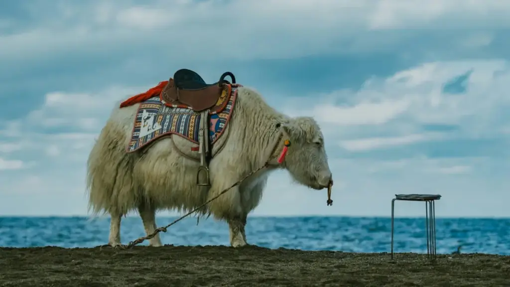 Jagora daga Najeriya: matakai na gaske don isa ga South Africa brands akan Hulu don yin unboxing — dabaru, misalai, da VPN tip.