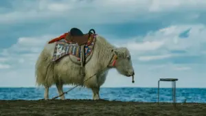 Jagora daga Najeriya: matakai na gaske don isa ga South Africa brands akan Hulu don yin unboxing — dabaru, misalai, da VPN tip.