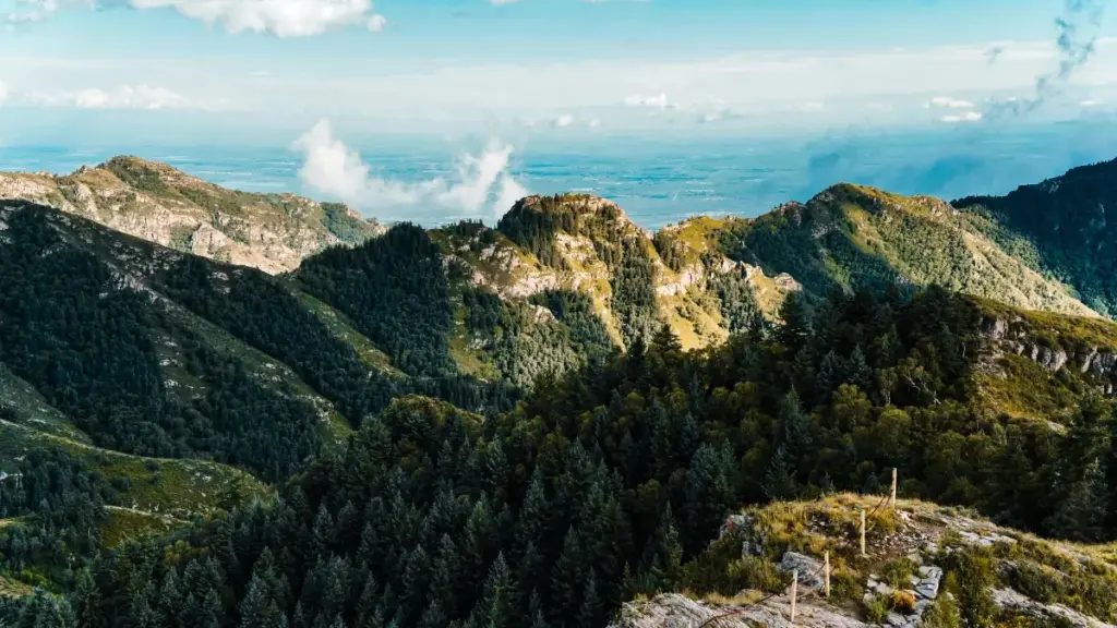 Jagora mai sauri ga 'yan talla a Najeriya: yadda za a gano creators a South Africa masu gwada sha'awar Hulu, matakai, dandamali, da yadda VPN ke taimakawa.