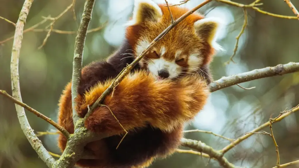 Jagora mai aikace‑aikace ga creators Naija akan yadda za su tuntuɓi brands na Tanzania a Telegram don haɗin gwiwar travel guides — mataki‑mataki, dabaru, haɗari, da checklist.