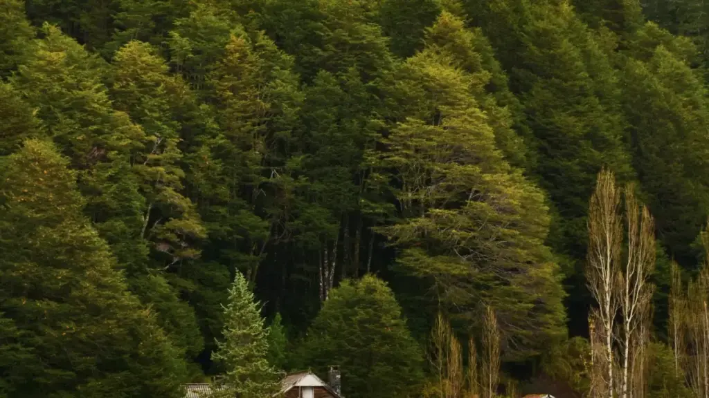 Jagora mai amfani ga masu talla a Najeriya: yadda zaka nemo masu kirkira daga Montenegro a Pinterest don samun reviews na gaskiya, matakai, hadarin da yadda za ka tantance inganci.