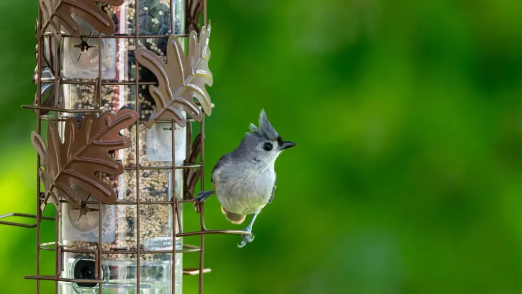 Jagora mai sauki ga masu talla a Najeriya: yadda za a nemo Facebook creators na Thailand don product seeding ga beauty bloggers, tare da matakai, dandamali, da hadin gwiwa.