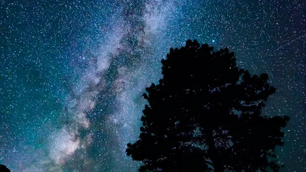 Jagora na matakai don creators daga Nigeria su iso brands a Dominican Republic ta Disney Plus don haɗin gwiwa da game publishers.