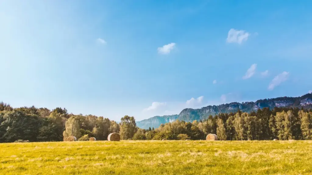 Matakai masu amfani daga Najeriya don kaiwa ga brands na Uruguay a Spotify, haɗa influencer strategy, PR, da misalan kasuwa.