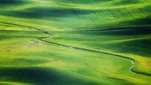 Ga creator a Najeriya: yadda zaka samo brands na Ethiopia, ka pitch na Disney Plus, ka gina engagement da giveaways ba tare da bata lokaci ba.