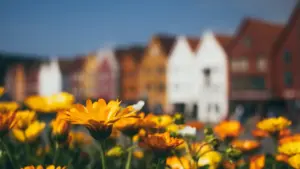 Ga yadda advertaisa a Najeriya zai samo South Africa Viber creators, duba amana, auna sakamako, da gina socially responsible campaign mai tasiri.