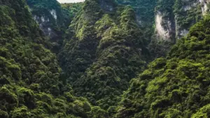 Ga yadda creator a Nigeria zai kama Norway brands a Discord, gina trust, kuma ya pitch song reaction videos ba tare da wahala ba.