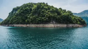 Idan kana son product seeding a Portugal, ga yadda zaka gano Roposo creators da suka dace, ka guji spam, ka kuma samu sakamako mai kyau.